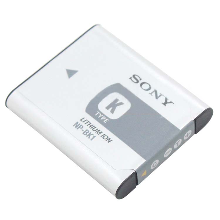 SONY Akku für E